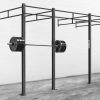 Rogue Rigs & Racks * | Rogue Fitness Monster Lite Wallmounts