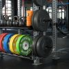 Rogue Rigs & Racks * | Rogue Fitness Monster Single Post Storage Shelf