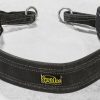 Strength Equipment * | Spud Inc Belt Squat Belt