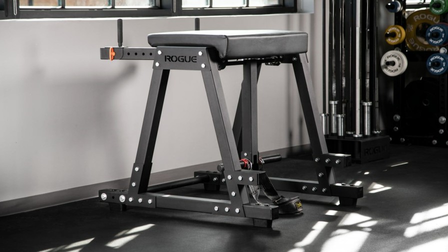 Strength Equipment * | Rogue Fitness Rogue Z Hyper