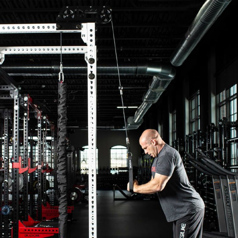 Rogue Rigs & Racks * | Rogue Fitness Rogue Monster Slinger