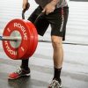 Strength Equipment * | Rogue Fitness Rogue Landmine Handles