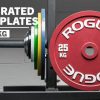 Weightlifting Bars & Plates * | Rogue Fitness Rogue Calibrated Kg Steel Plates