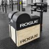 Strength Equipment * | Rogue Fitness Rogue 3 3 Echo Ghd