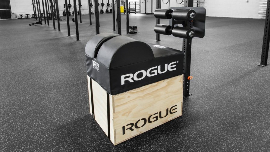 Strength Equipment * | Rogue Fitness Rogue 3 3 Echo Ghd