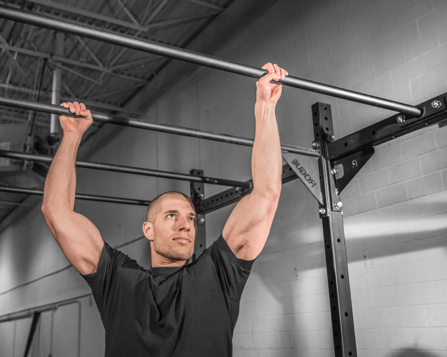 Rogue Rigs & Racks * | Rogue Fitness Rogue Monster Lite Single Monkey Bar