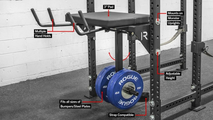 Rogue Rigs & Racks * | Rogue Fitness Rh-2M Rogue Hyper Mounts On Monster Uprights