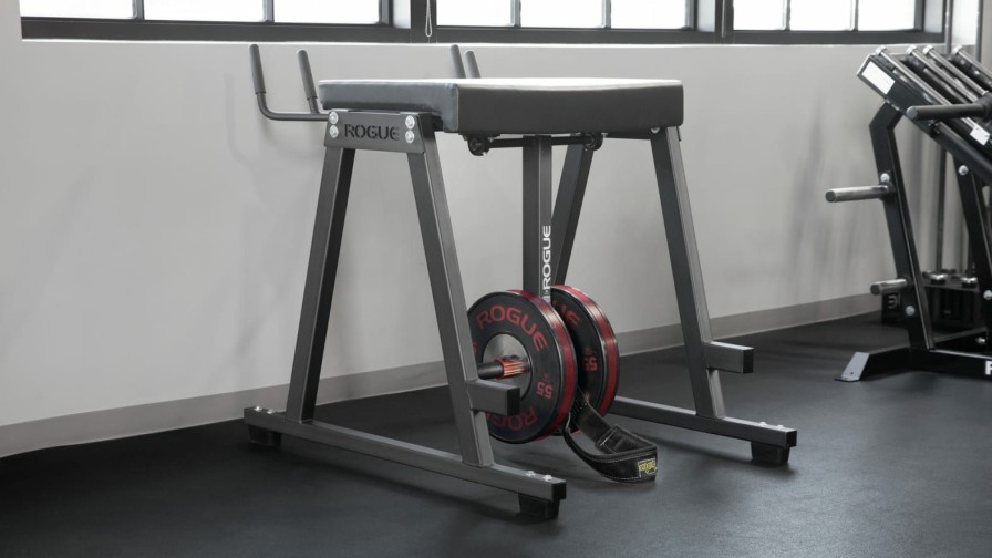 Strength Equipment * | Rogue Fitness Rh-2 Rogue Reverse Hyper