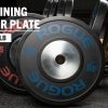 Weightlifting Bars & Plates * | Rogue Fitness Rogue Lb Training 2.0 Plates