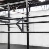 Rogue Rigs & Racks * | Rogue Fitness Dirty South Bar